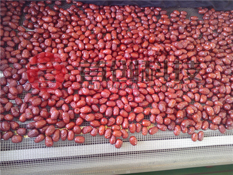 紅棗烘干機(jī)價(jià)格.jpg