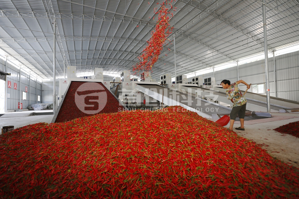 一臺(tái)網(wǎng)帶式辣椒烘干設(shè)備多少錢(qián)？.jpg