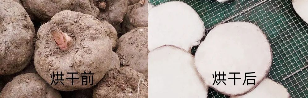 1726728056577324.jpg 1726728056577324.jpg