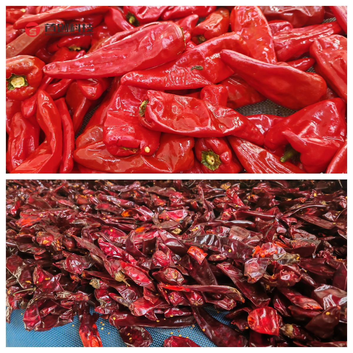 1730192344172363.jpg 微信圖片_20241029134443_副本.jpg