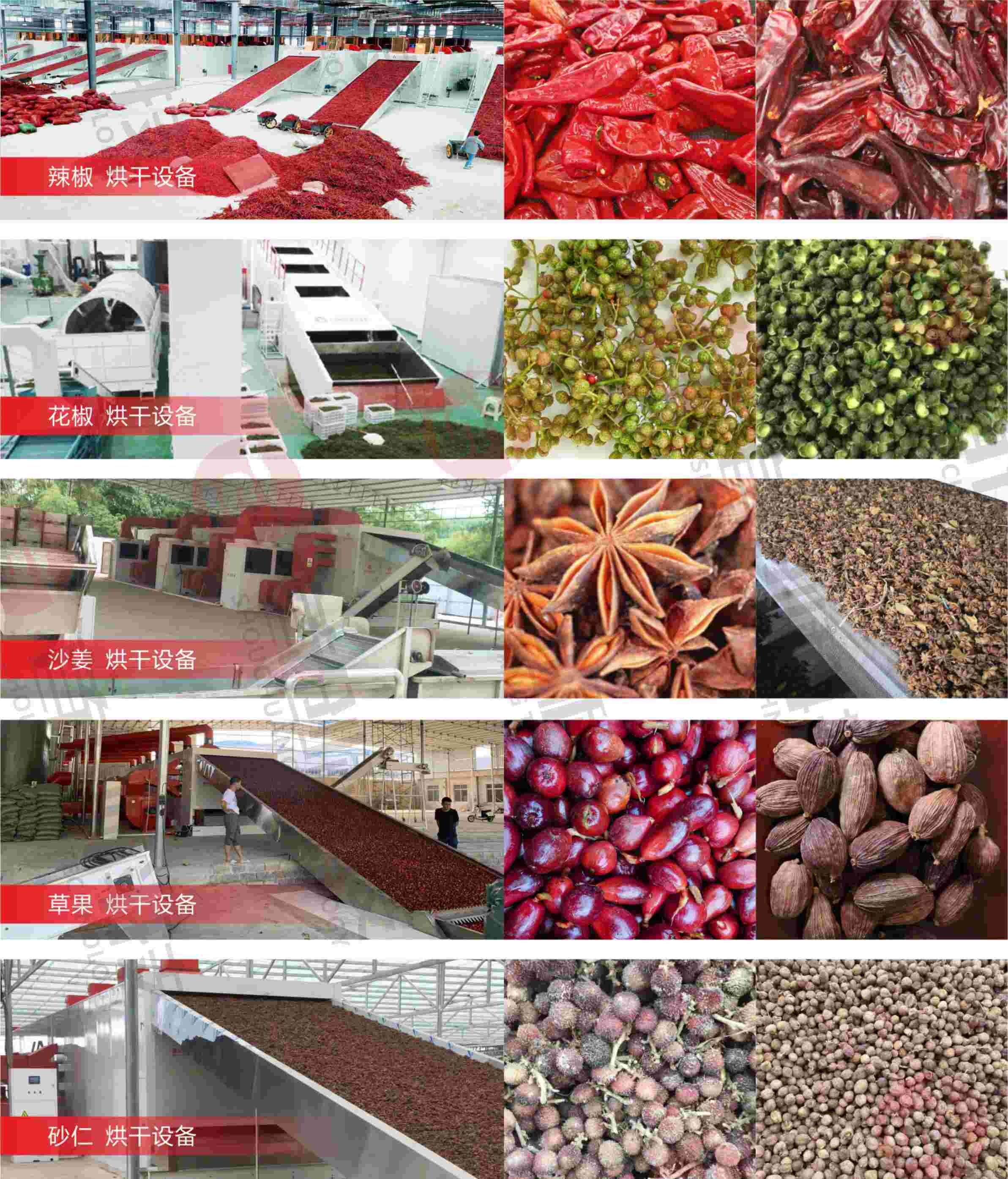 1730538293627944.jpg 微信圖片_20241102163127.jpg