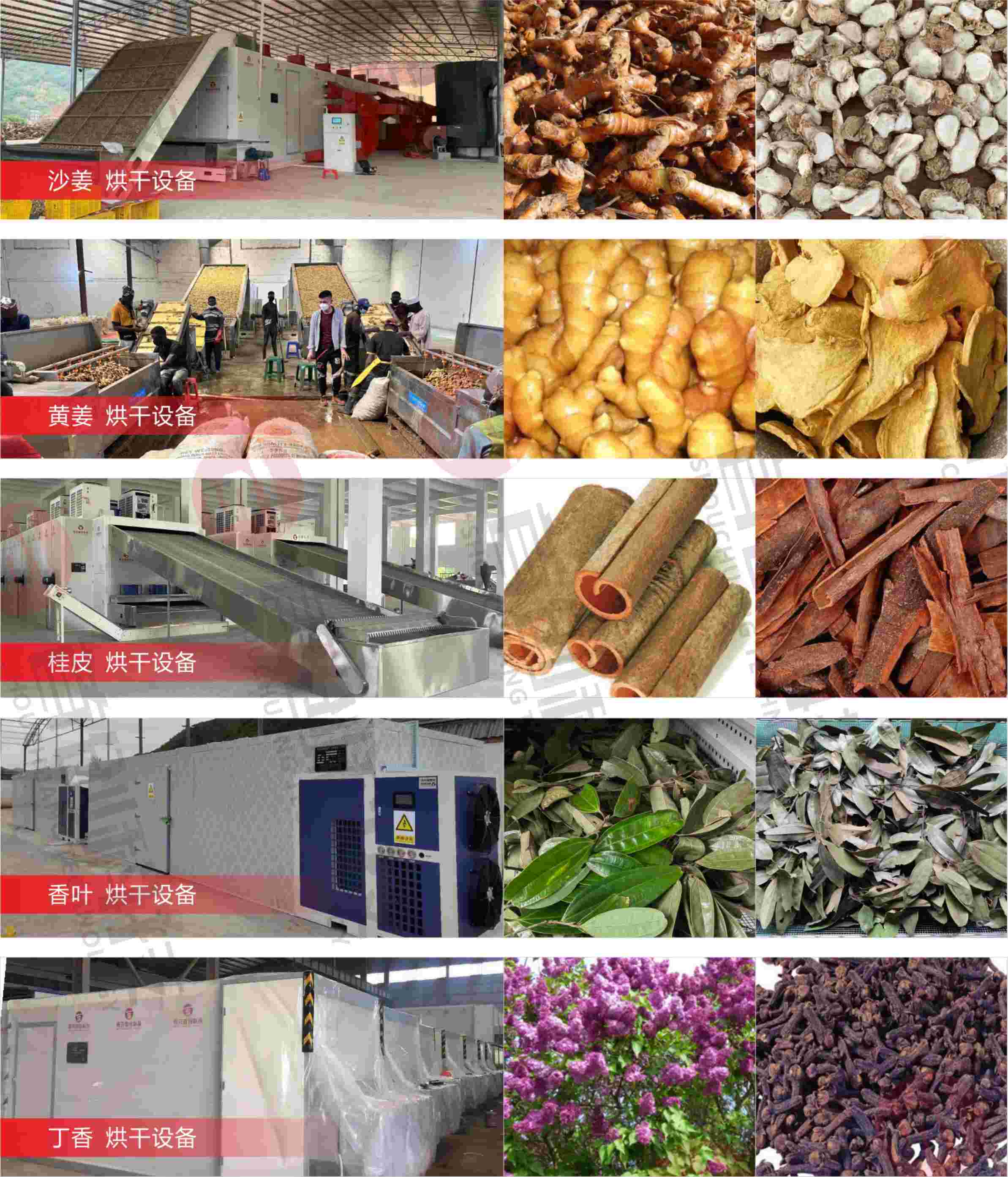 1762327858918375.jpg 1730538196369817.jpg