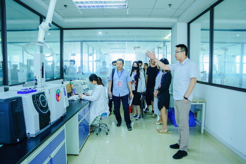 媒體聚焦蘇州信用建設(shè)與科技中介服務(wù)，展現(xiàn)高質(zhì)量發(fā)展新圖景